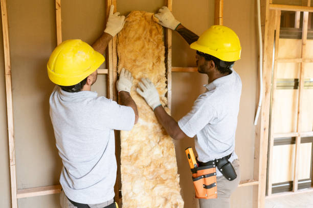 Best Blown-in Insulation  in Mount Vernon, OH